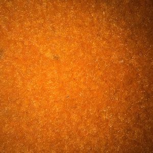 Meet your Posher, Shannan